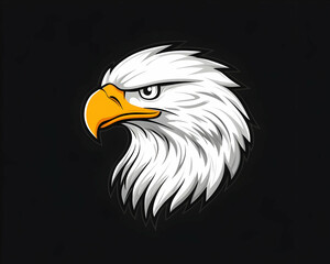 Majestic eagle head profile, sharp gaze, white plumage against black background
