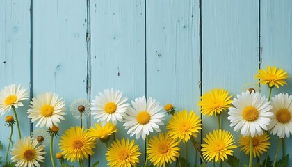 Fototapeta premium Daisies and Yellow Flowers on Blue Wooden Background