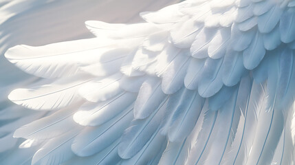 "Pure White Angel Wings Isolated on Transparent Background – Ethereal and Divine Feathered Wings"

