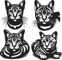 Bengal cat vector in black and white