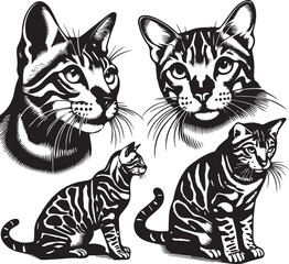 Obraz premium Bengal cat vector in black and white