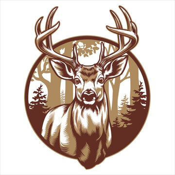 Isolated brown deer head vector illustration with cute antlers