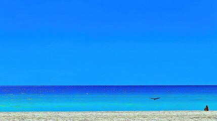 Fototapeta premium Vast Blue Ocean and Sandy Beach Under a Clear Sky