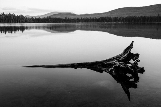 Old submerged log on peaceful tranquil lake in Maine
