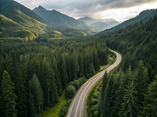 Obraz premium Aerial View of Winding Mountain Road Through Dense Evergreen Forest