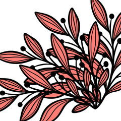 Leaf Frame Line Art Illustration
