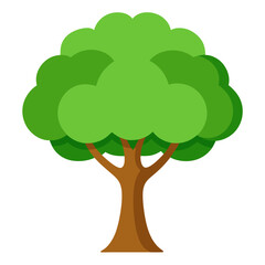 tree with green leaves