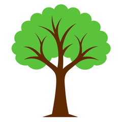 tree with green leaves