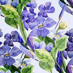 Frühlingsblumen.Seamless pattern of wild flowers, watercolor  image  on a colored background.