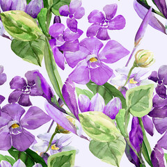 Frühlingsblumen.Seamless pattern of wild flowers, watercolor  image  on a colored background.