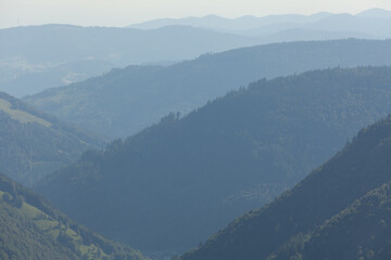 Fototapeta premium Silhouetten im Schwarzwald. Auf dem Feldberg Blick Richtung Todtnau.