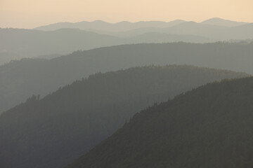 Silhouetten im Schwarzwald. Auf dem Feldberg Blick Richtung Todtnau.