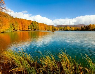 "Enchanting Nature and Serenity: A Visual Journey Through Forests and Sunsets"