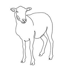 Goat Minimalist One Line Art of Sacrificial Animal for Eid Al Adha