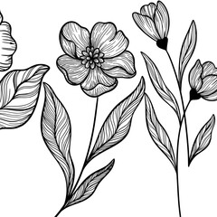 Minimalist Line Art Floral Vector Illustration