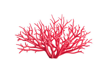 Red coral tree with pink branches, isolated