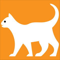 White cat orange background - Cat life