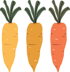 Vector illustration orange carrot in hand drawn style