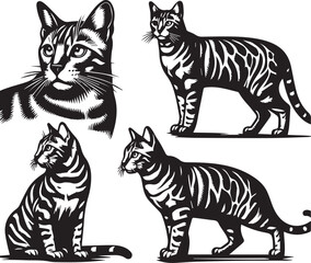 Bengal cat vector in black and white
