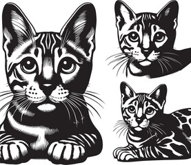 Bengal cat vector in black and white
