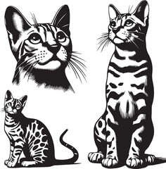 Bengal cat vector in black and white