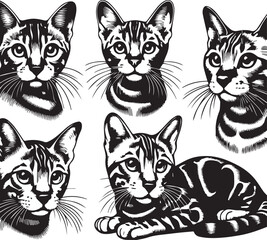 Bengal cat vector in black and white