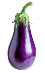 eggplant - vibrant purple vegetable isolated on black