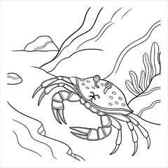 Cute cartoon crab vector illustration, a seafood animal design