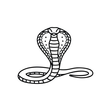 King Cobra animal line art flat vector illustration