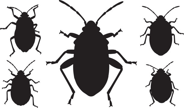 Boxelder Bug Silhouette