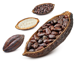 Cocoa isolated on white background