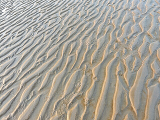 Beach after the tide recedes