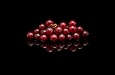 Cluster of Fresh Red Currants with Reflection Against Black Background