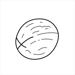 Vector line illustration of a walnut in the shell.
