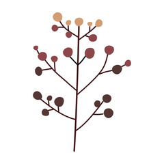 Berries. Cute illustration, vector, color, simple