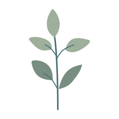 Leaves on a branch, colored. Cute illustration, vector, color, simple