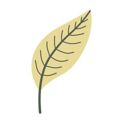 Leaves on a branch, colored. Cute illustration, vector, color, simple