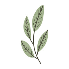 Leaves on a branch, colored. Cute illustration, vector, color, simple