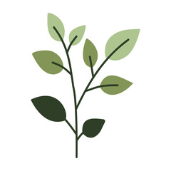 Leaves on a branch, colored. Cute illustration, vector, color, simple