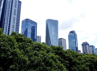 Fototapeta premium modern glass skyscrapers rising above lush green foliage