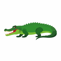 Fototapeta premium Stylized green crocodile illustration on white background, playful design