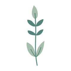Leaves on a branch, colored. Cute illustration, vector, color, simple