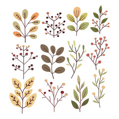 Set of leaves and branches. Cute illustration, vector, color, simple.