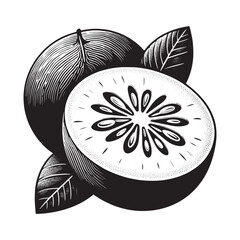 Elegant monochrome illustration of whole and sliced white sapote fruit