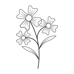 Aesthetic Leaves Line Art