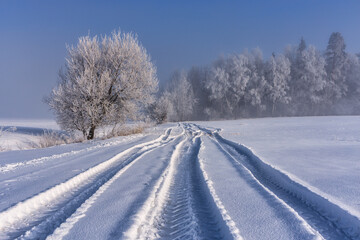 Beautiful landscape of the frozen meadow with trees in Podhale at winter. Poland