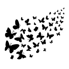 Butterfly flock vector illustration. Butterflies silhouette flying on white background.