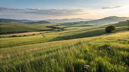 Obraz premium Rolling Green Hills Landscape at Sunset