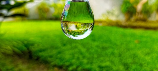 A single water droplet hangs, reflecting the garden in its clear surface.