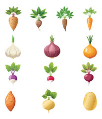 collection of root vegetables